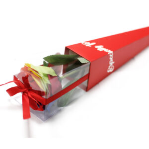 Luxuriöse Seifenblumen – Regenbogen