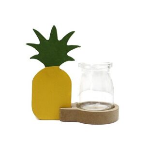 Hydroponische Pflanz-Heimdeko – Ananas