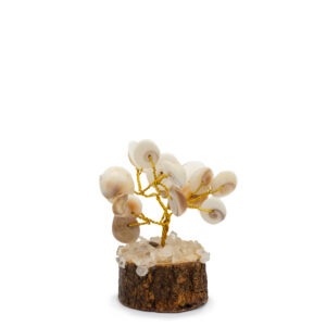 Kleiner Gomati Chakra Edelstein-Baum (15 Steine)
