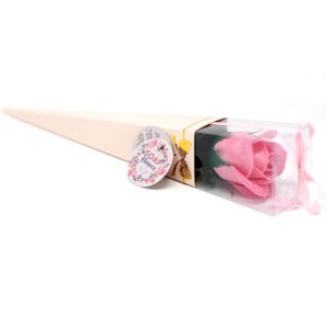 Seifenblume – mittelgroße Rose